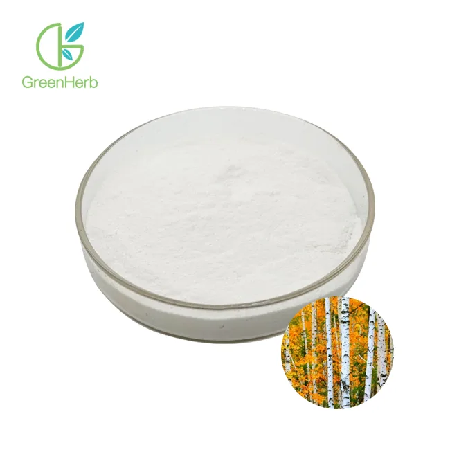 Birch Bark Extract